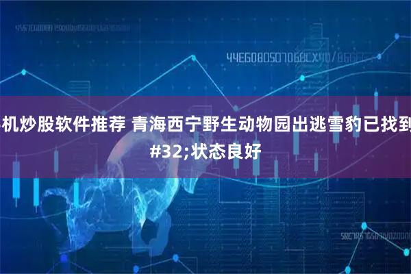 手机炒股软件推荐 青海西宁野生动物园出逃雪豹已找到&#32;状态良好